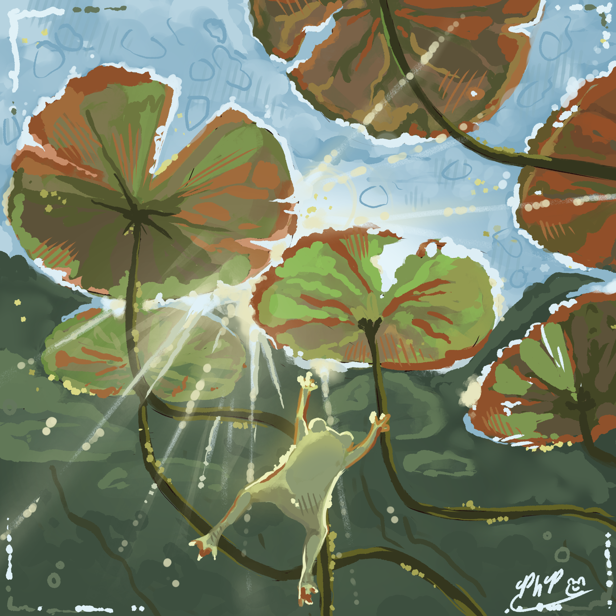Illustration