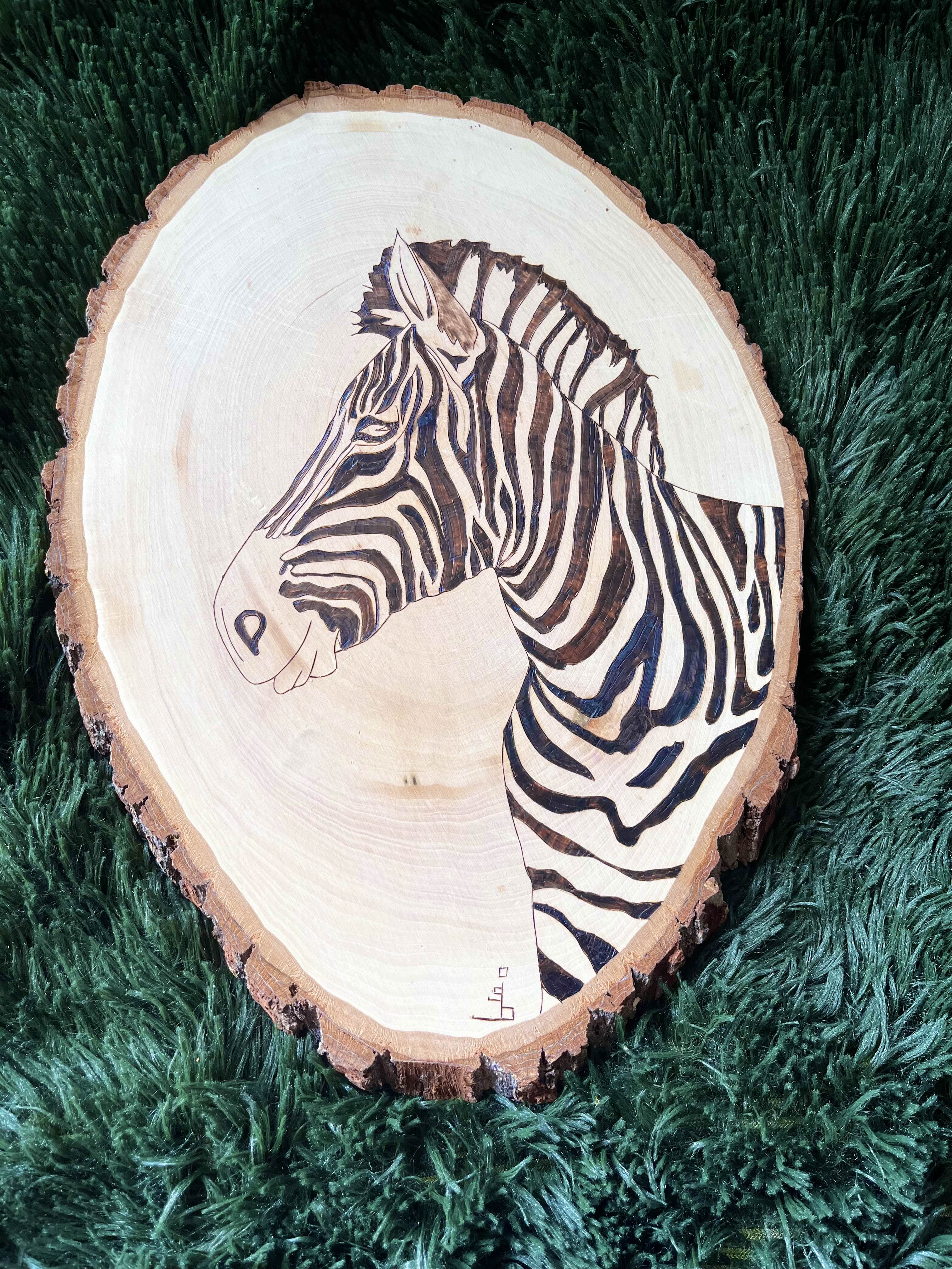 Zebra