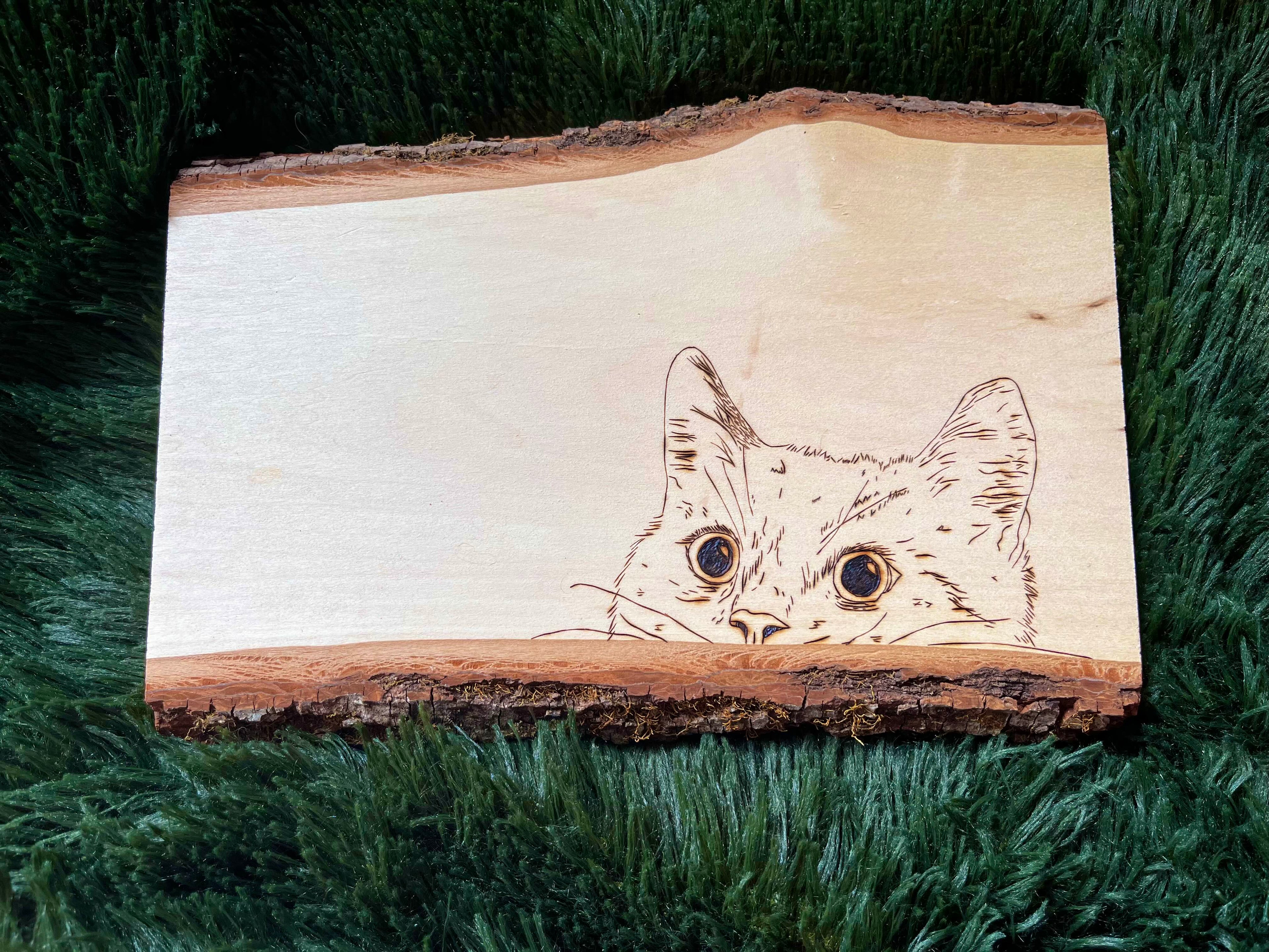 Cat peeking wood burning